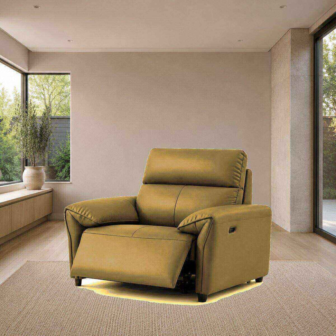 Benjamin Electric Recliner