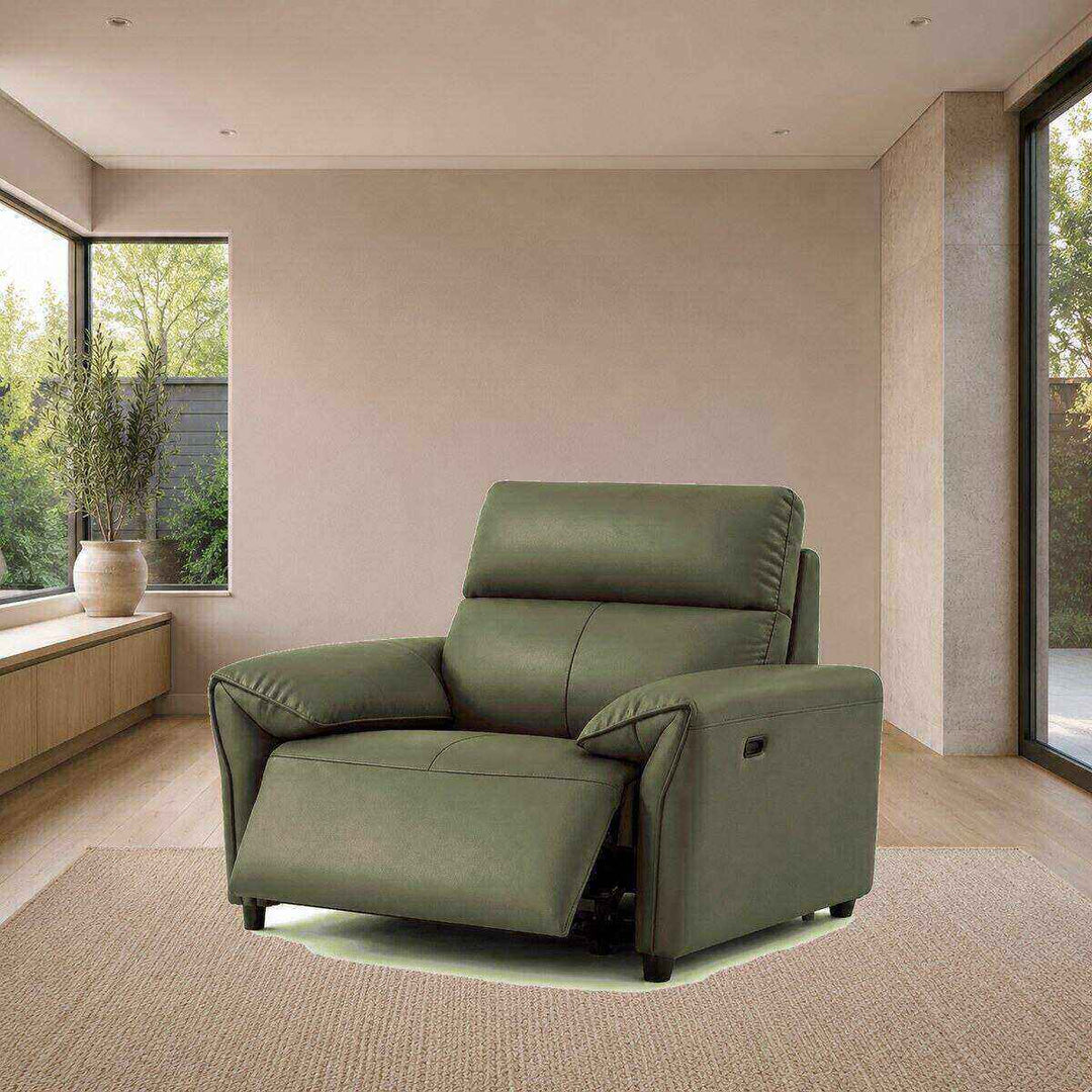Benjamin Electric Recliner