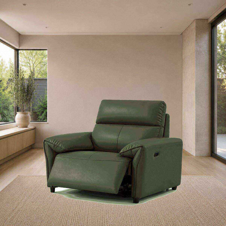 Benjamin Electric Recliner