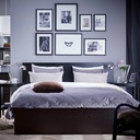 Ikea Malm Super King Bed Frame| Black-Brown| Luroy| High Platform Bed