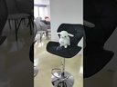 Mekolapi Chair, BLACK
