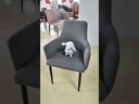 LENATARADU Chair, linen