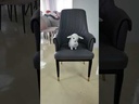 KALIKAYAM Chair, D GREY