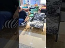 Tanapiman Sofa, flower printing