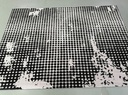 Amapika Rug