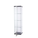 Lenayamtan Frameless Glass Display Case, black