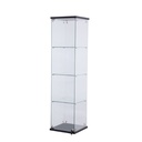Lenayamtan Frameless Glass Display Unit, black