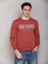 Gents R/N Sweatshirt - SS106-SS106-COPPER BROWN-L