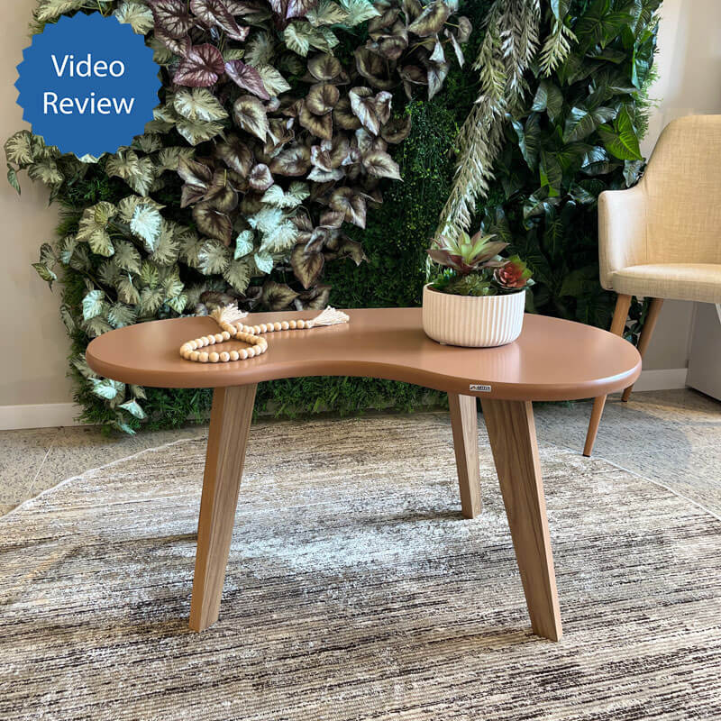 Mesquita Coffee Table - Terracota, Classy? Solved!