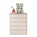 Yangyamvik Chest of 5 drawer