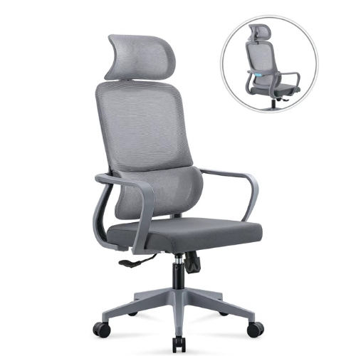 Gangataraman Office Chair with Armrests