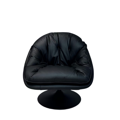 Paratanra Swivel Lounge Chair, black