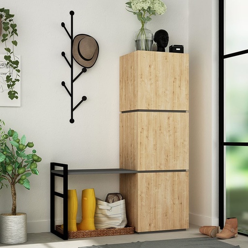 Bergama Hallway Stand - Oak - Anthracite, Versatile? Solved!