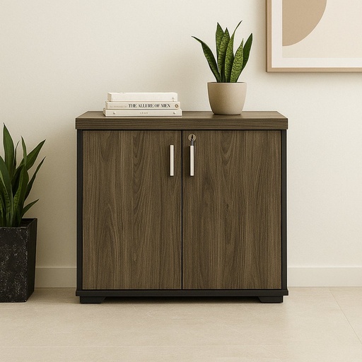  Alvorada 2 Doors cabinet , Charuto/ Black? "Solved."